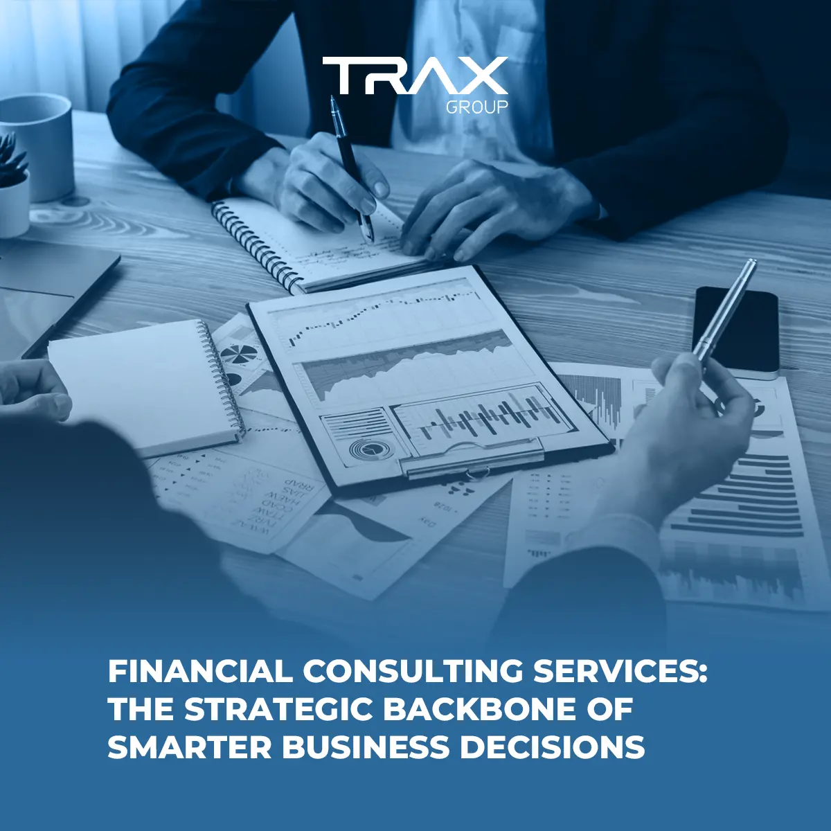 Financial Consulting Services